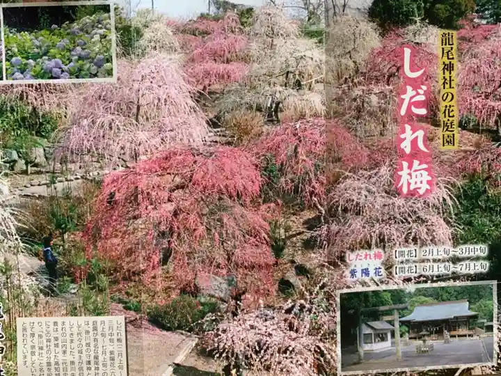 龍尾神社の授与品その他