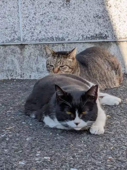 白金氷川神社(東京都)
