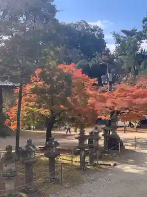手向山八幡宮(奈良県)