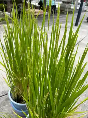 大鏑神社(福島県)