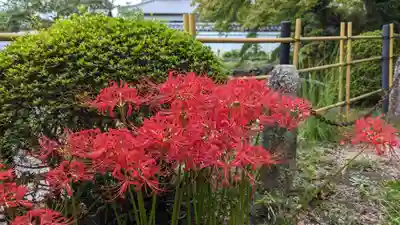 真正極楽寺(真如堂)(京都府)