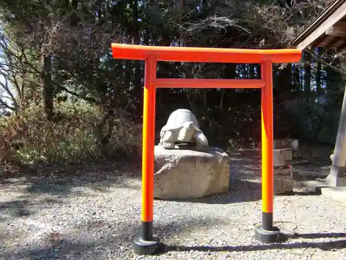 亀岡八幡宮の狛犬