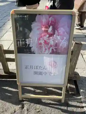 鶴岡八幡宮の体験その他