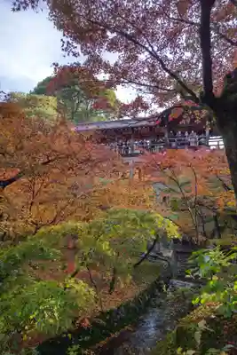 東福禅寺(東福寺)(京都府)