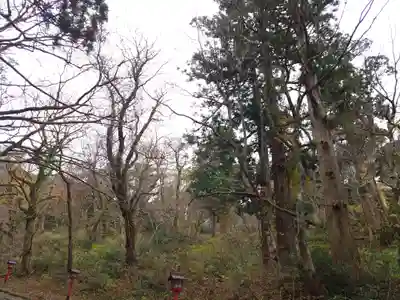 大神山神社奥宮(鳥取県)