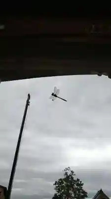 花山院菩提寺(兵庫県)