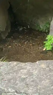 貫井神社(東京都)