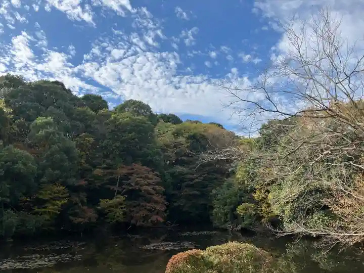 明治神宮(東京都)