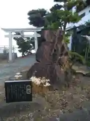 琵琶島神社の建物その他