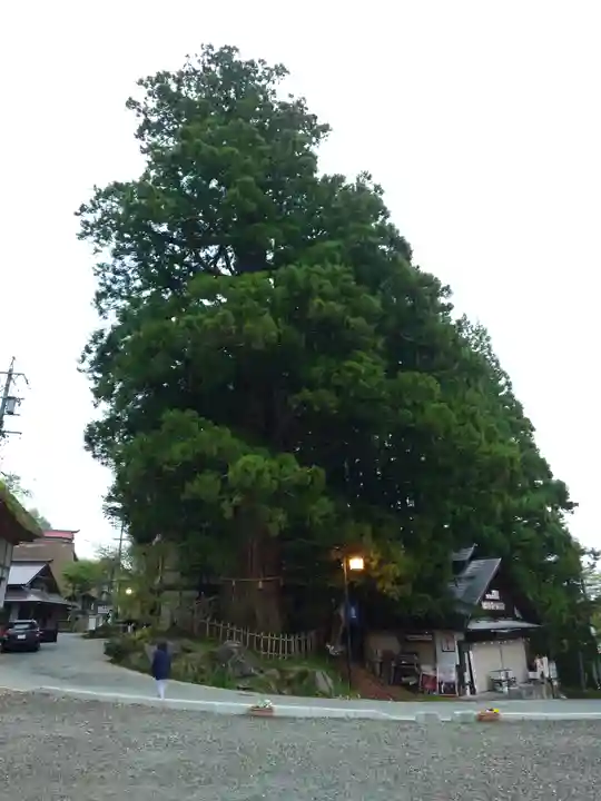 戸隠神社中社(長野県)