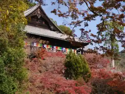 長谷寺のその他建物