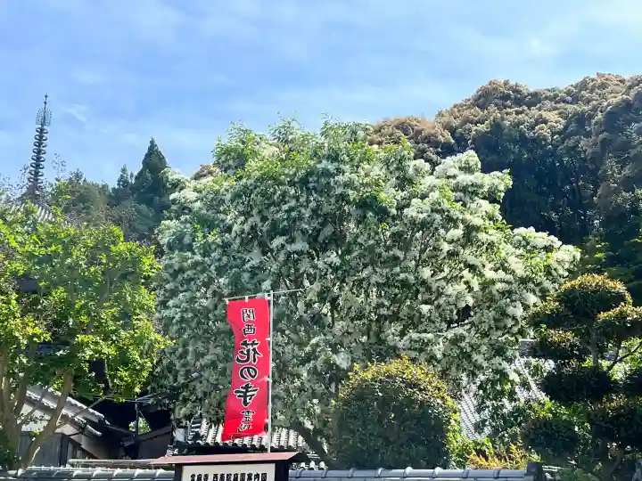 當麻寺西南院の{uncategorized: "未分類", other: "その他", undefined: "問題あり", building: "その他建物", grave: "お墓", sacred_gate: "鳥居", guardian: "狛犬", statue: "像", buddha: "仏像", history: "歴史", nature: "自然", garden: "庭園", animal: "動物", pagoda: "塔", temizu: "手水舎", mountain_gate: "山門・神門", sanctuary: "本殿・本堂", subordinate: "末社・摂社", art: "芸術", scenery: "景色", jizo: "地蔵", ema: "絵馬", goshuin: "御朱印", omikuji: "おみくじ", items: "授与品その他", amulet: "お守り", goshuincho: "御朱印帳", eats: "食事", festival: "お祭り", votive_dance: "神楽", shichigosan: "七五三参", wedding: "結婚式", experience: "体験その他", initially: "初詣", around: "周辺", anti_infection: "感染症対策"}