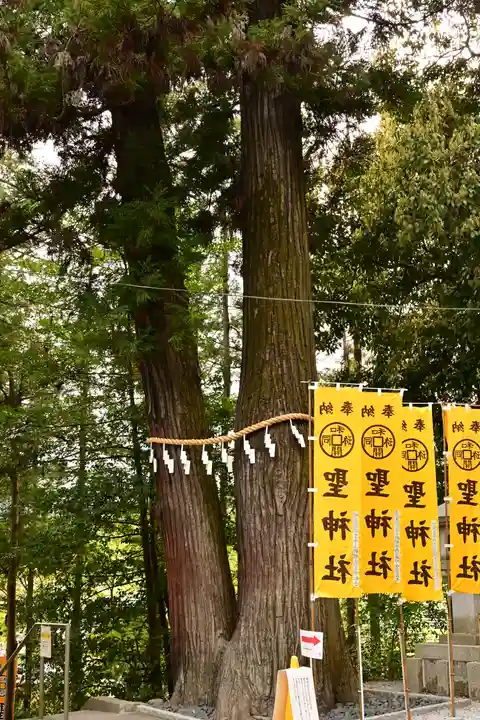 聖神社(埼玉県)