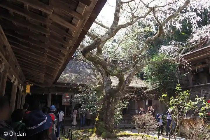 吉野水分神社(吉野町)の本殿・本堂