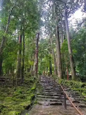 飛瀧神社(熊野那智大社別宮)(和歌山県)