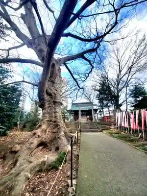 愛宕神社(福島県)