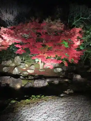 圓徳院(京都府)