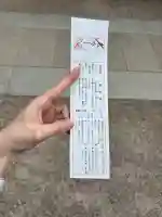 東京大神宮(東京都)