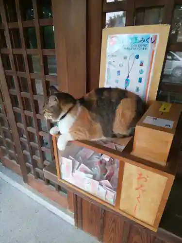 前玉神社の動物