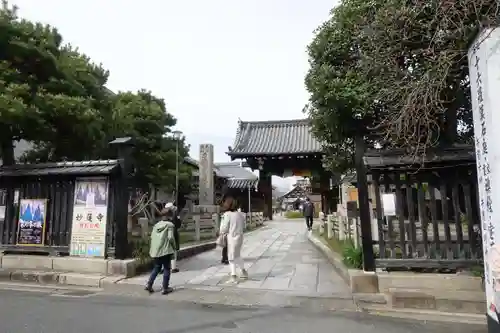 妙蓮寺の山門