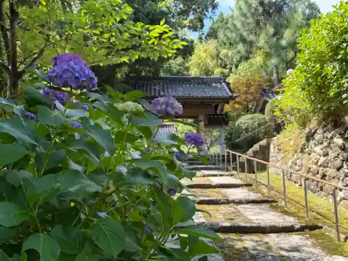 本興寺(石川県)