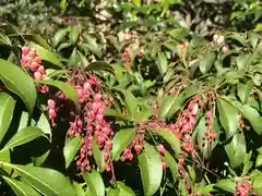 菊田神社の自然