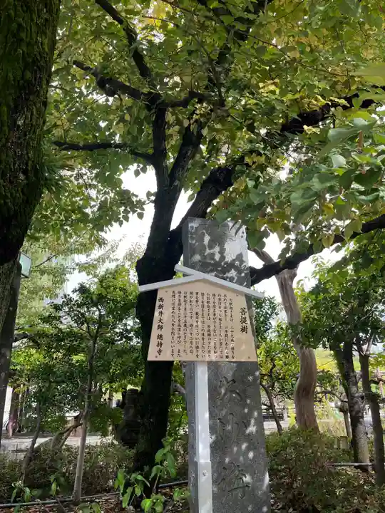 西新井大師総持寺(東京都)