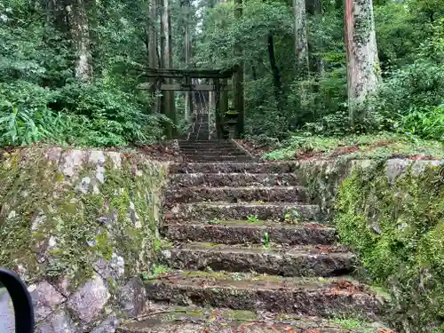 瀧神社の鳥居