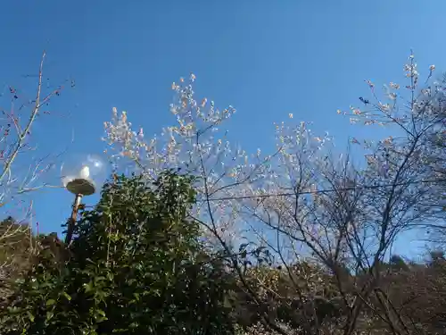 祝峰寺(愛知県)