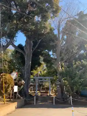 神明大神社の鳥居