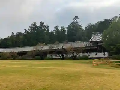 東大寺(奈良県)