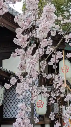 縣神社の自然