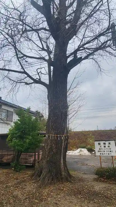 諏訪社(新潟県)