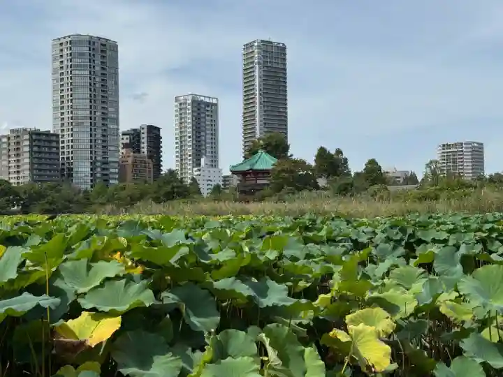 寛永寺不忍池弁天堂(東京都)