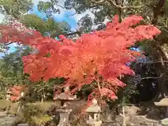 壺井八幡宮(大阪府)