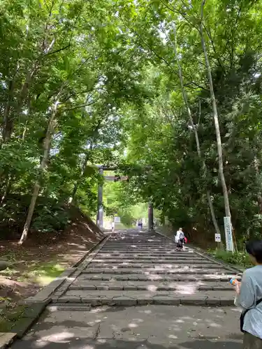 北海道神宮の景色