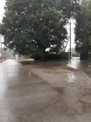 伏木香取神社(茨城県)