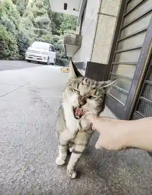 白金氷川神社(東京都)