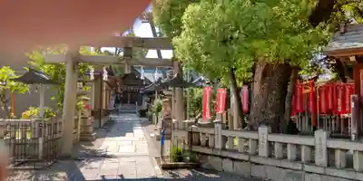 大鳥羽衣濱神社(大阪府)