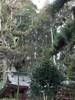 大宮温泉神社(栃木県)