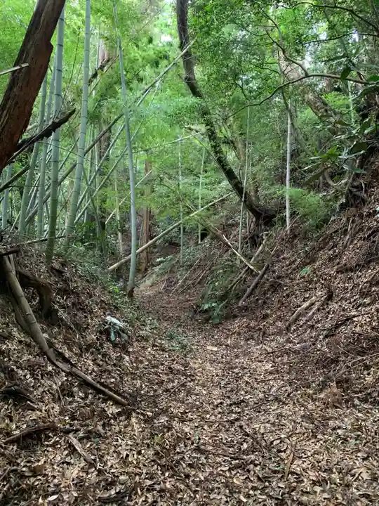 羽黒神社の周辺