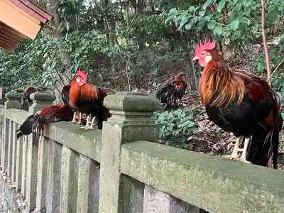大甕神社(茨城県)