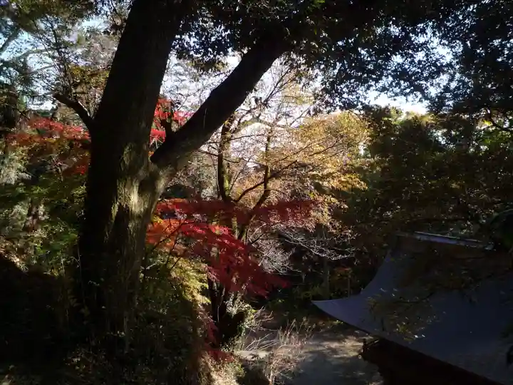 宝樹院小山寺の自然