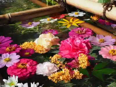 今市報徳二宮神社の手水舎