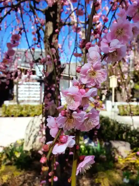 常性寺(東京都)