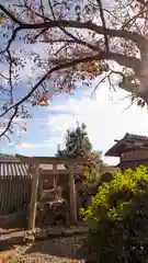 竹中稲荷神社（吉田神社末社）(京都府)