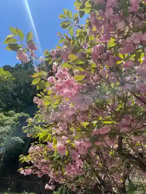 金櫻神社(山梨県)