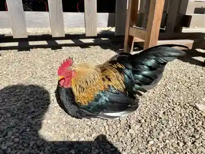 大崎八幡宮(宮城県)