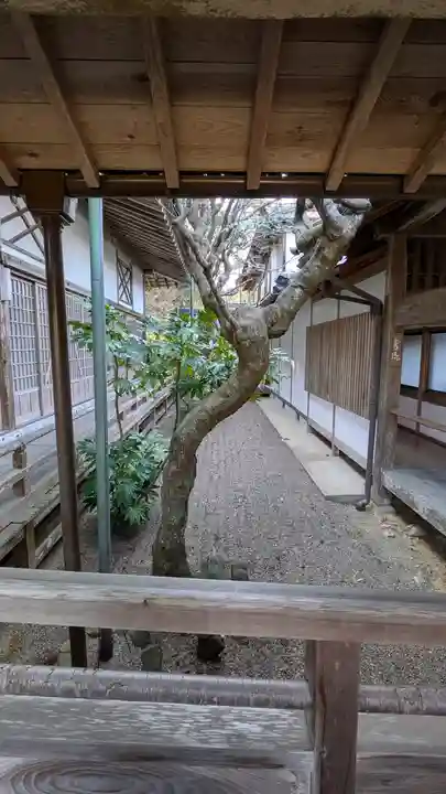 誕生寺(岡山県)