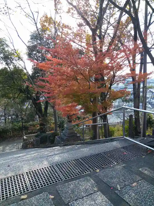 阿智神社の自然